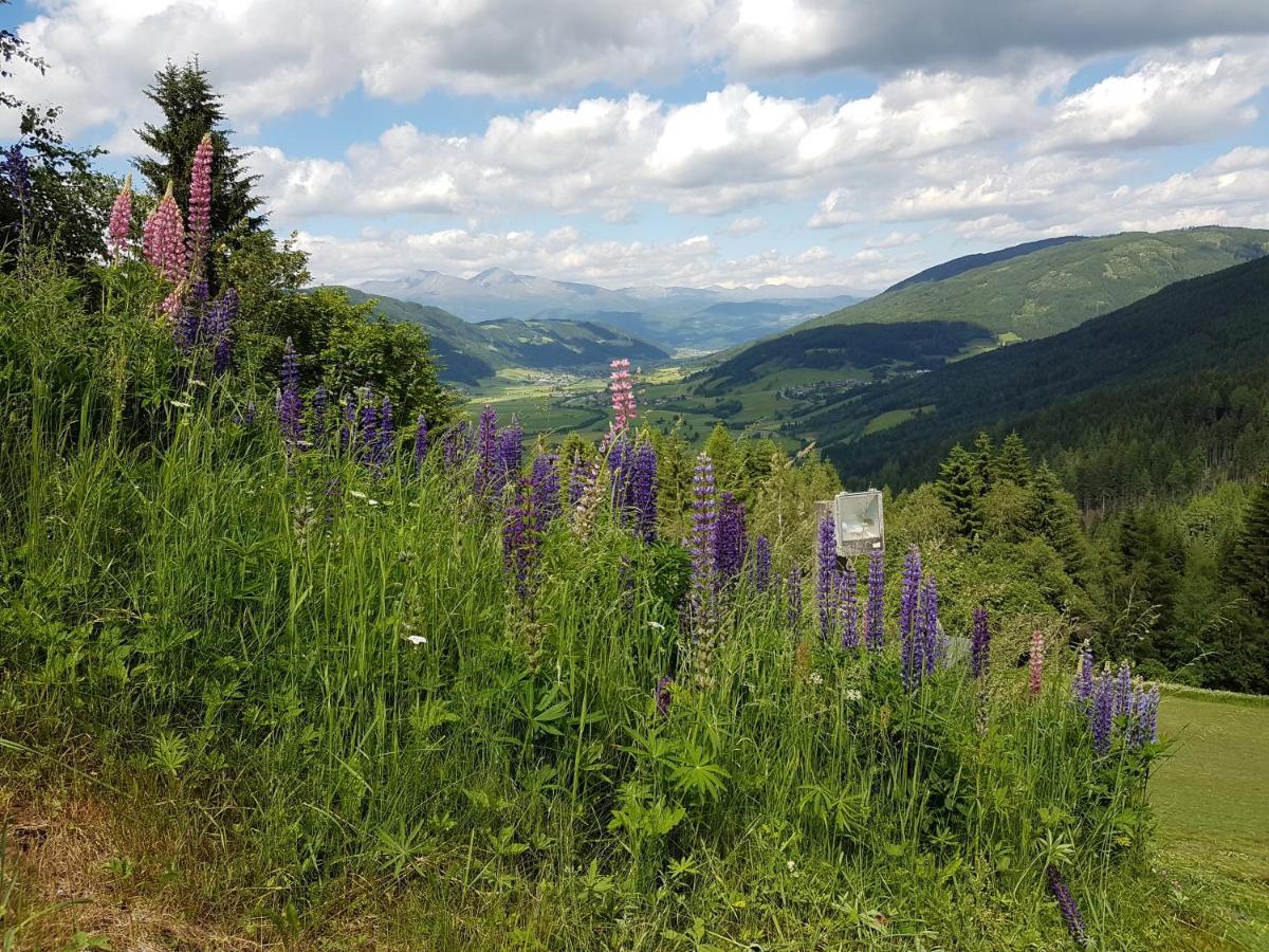 Residenz Monica Top 6 Санкт Маргаретен им Лунгау Екстериор снимка